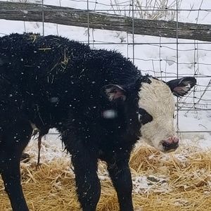 Meet your Posher, Sabrina